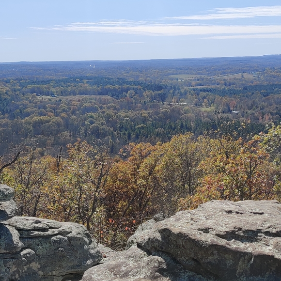 Meet your Posher, Kelly - Picture 1 of 5